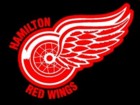 Hamilton Red Wings JR 'A'